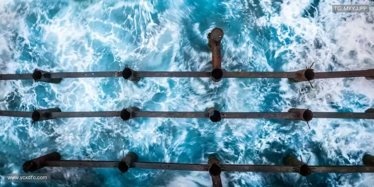 🎉 观赛互动，赢取限量版周边不是梦！🎁